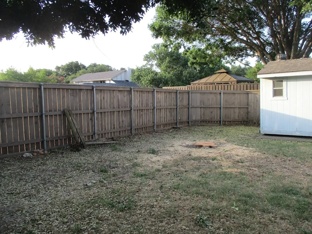 Cleared yard after professional tree removal in Hobart